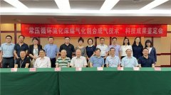 常压富氧循环流化床高碱煤气化制合成气技术通过鉴定